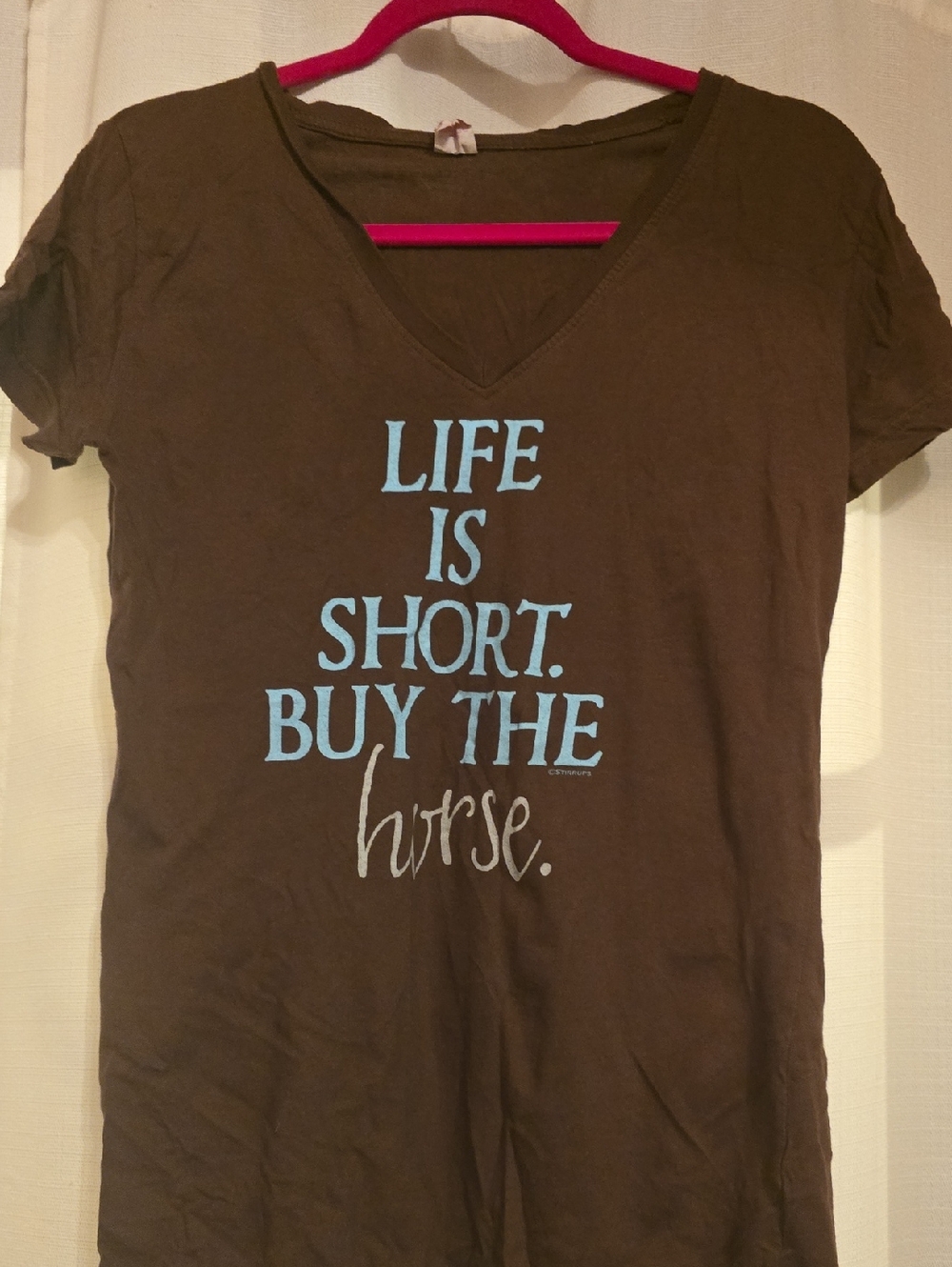 Women’s Brown V-Neck Tee with Light Blue & Cream Script Graphic